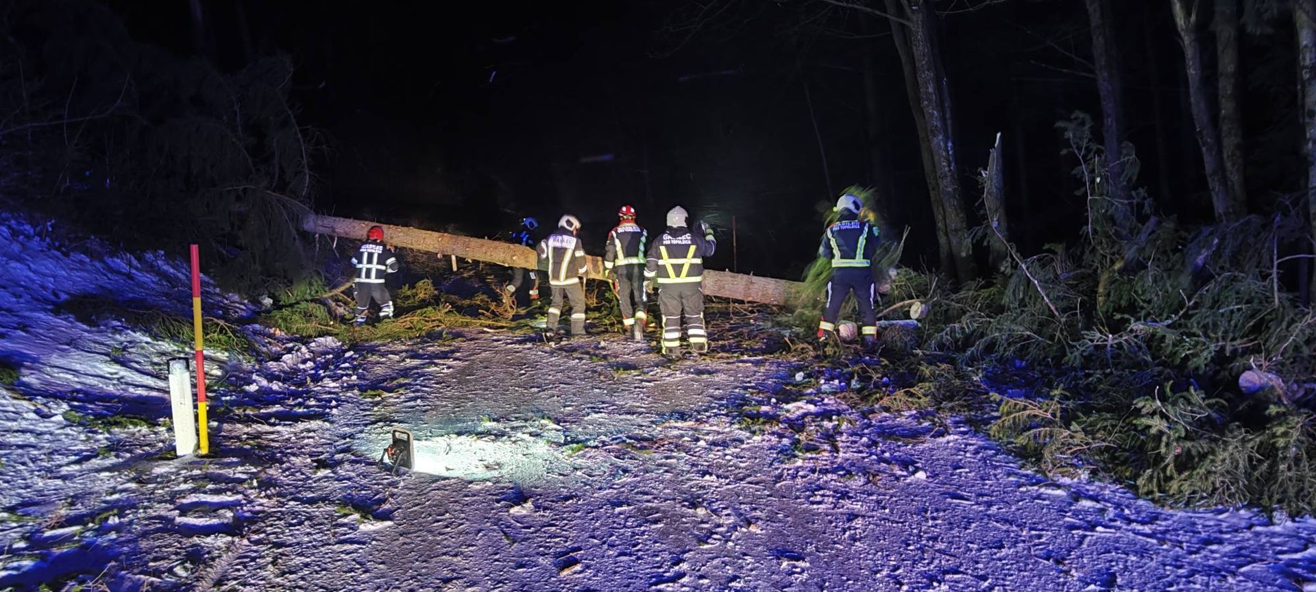 Pozor: Cesta čez Sleme zaprta zaradi podrtih dreves