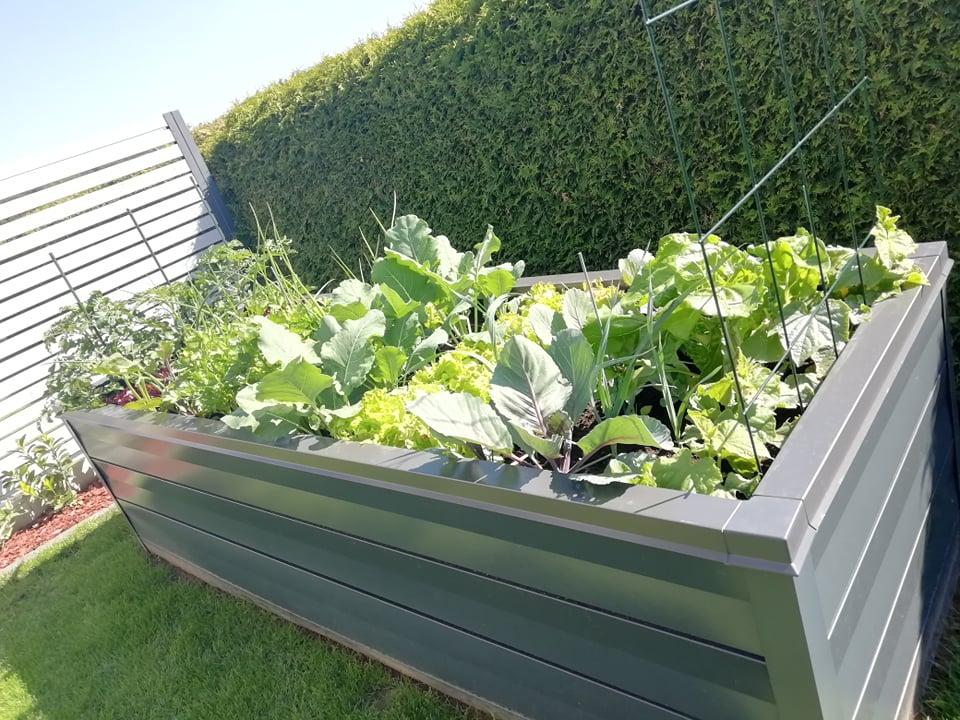 Triki za pravilno polnjenje visoke grede