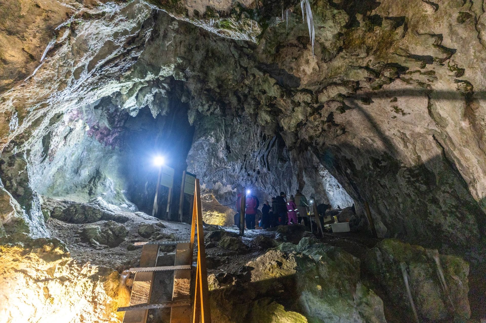 Zavod za kulturo, šport, turizem in mladino Šoštanj vabi na vodene oglede Mornove zijalke