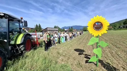 Sejemo sončno prihodnost: Tudi v Šmartnem ob Paki posejali sončnice