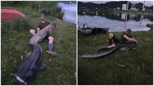(FOTO in VIDEO) Koroški ribič iz Družmirskega jezera potegnil velikanskega soma 