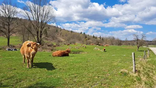 Sklad kmetijskih zemljišč in gozdov v vlogi skrbnika slovenske zemlje