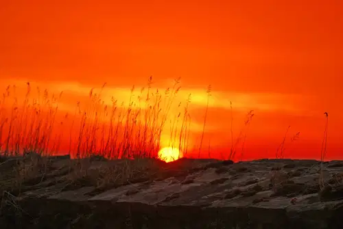 Vročinski val se nadaljuje: danes in jutri do 39 °C