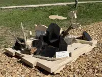 Včeraj je ob Družmirskem jezeru potekala 53. Mala Napotnikova kiparska kolonija.