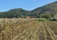 Občina Šmartno ob Paki pričela z zbiranjem vlog za prijavo škode na prizadetih območjih in kulturah   
