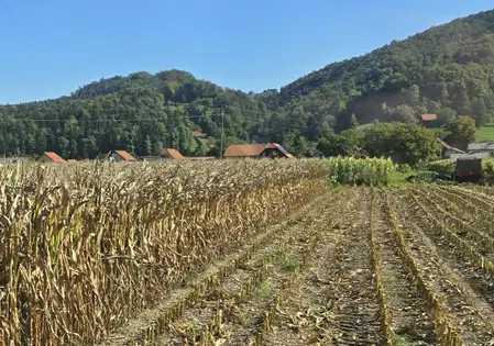 Občina Šmartno ob Paki pričela z zbiranjem vlog za prijavo škode na prizadetih območjih in kulturah   