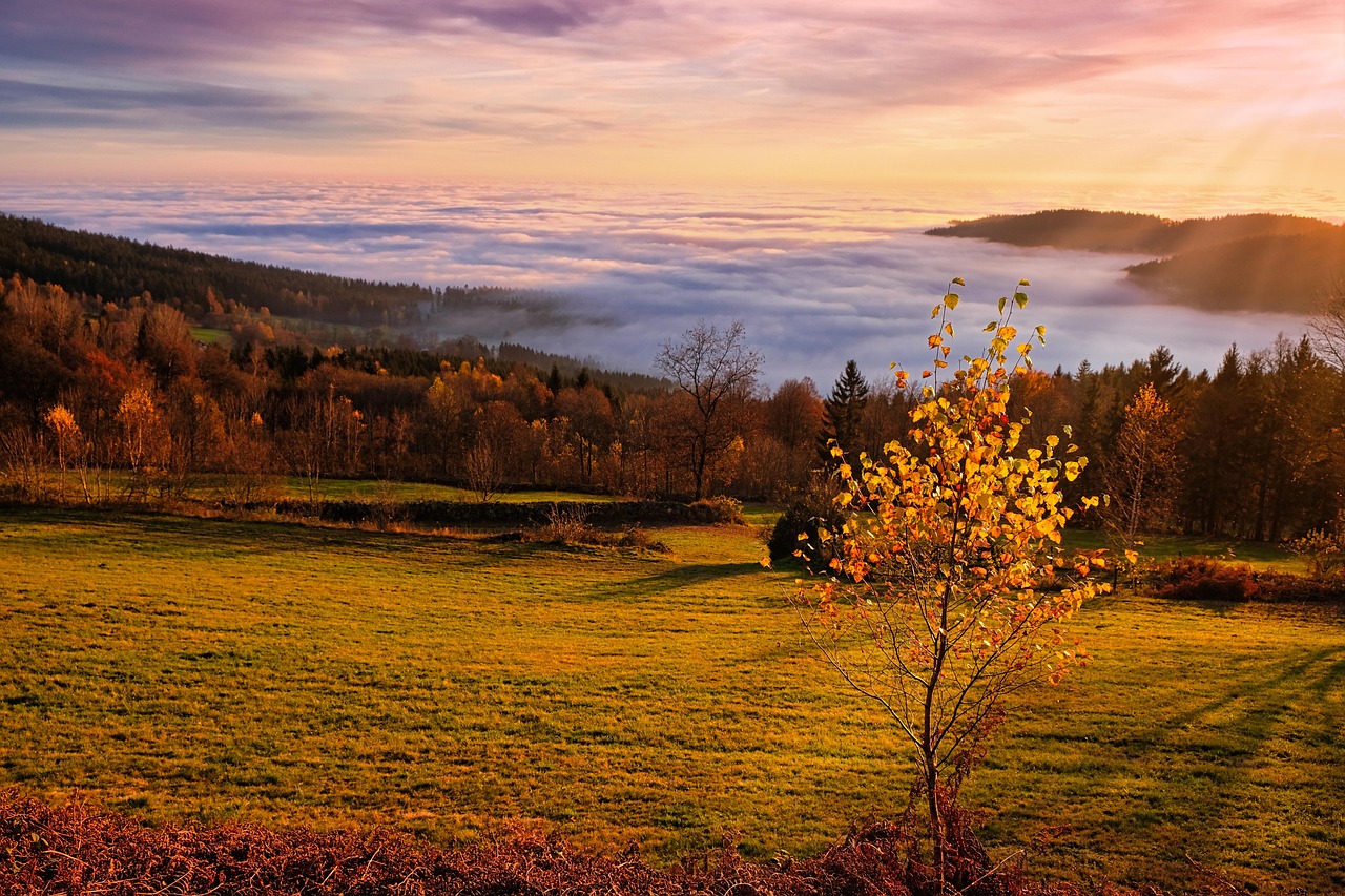 Pred nami meglena jutra, oblačni dnevi, a tudi sonca ne bo manjkalo