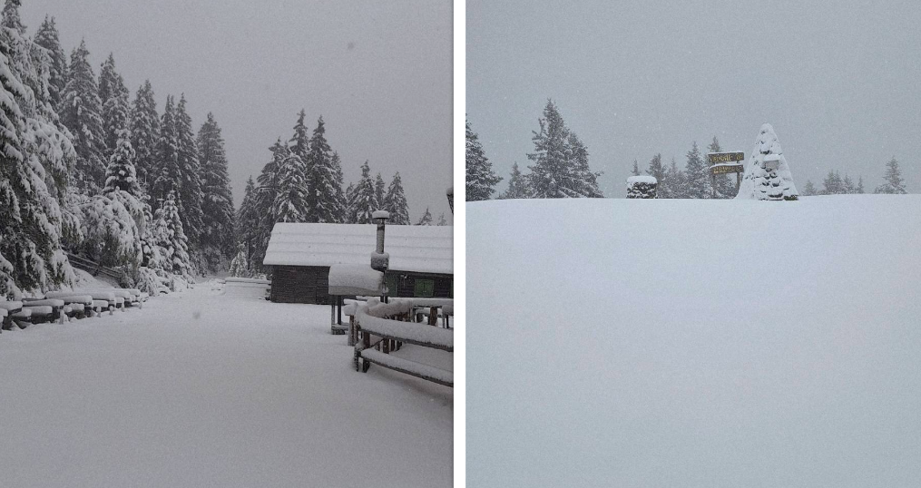 Nedelja v znamenju padavin, gore pobelil sneg #foto