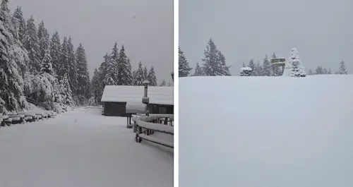 Nedelja v znamenju padavin, gore pobelil sneg #foto