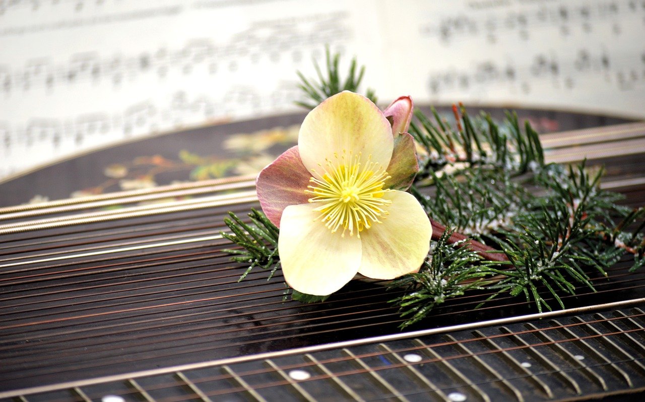 Četrtkov koncert v Vili Mayer: "V objemu pomladi, v melodiji srca"