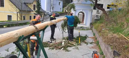 Tradicija ob postavljanju mlaja povezala krajane Belih Vod