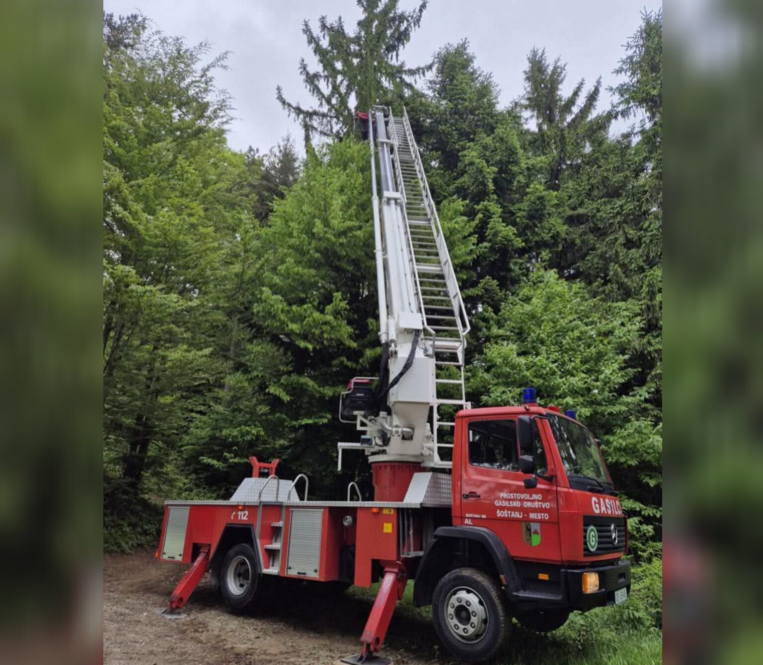 Reševanje s srečnim koncem: Šoštanjski gasilci iz 25 metrov visokega drevesa rešili mucko