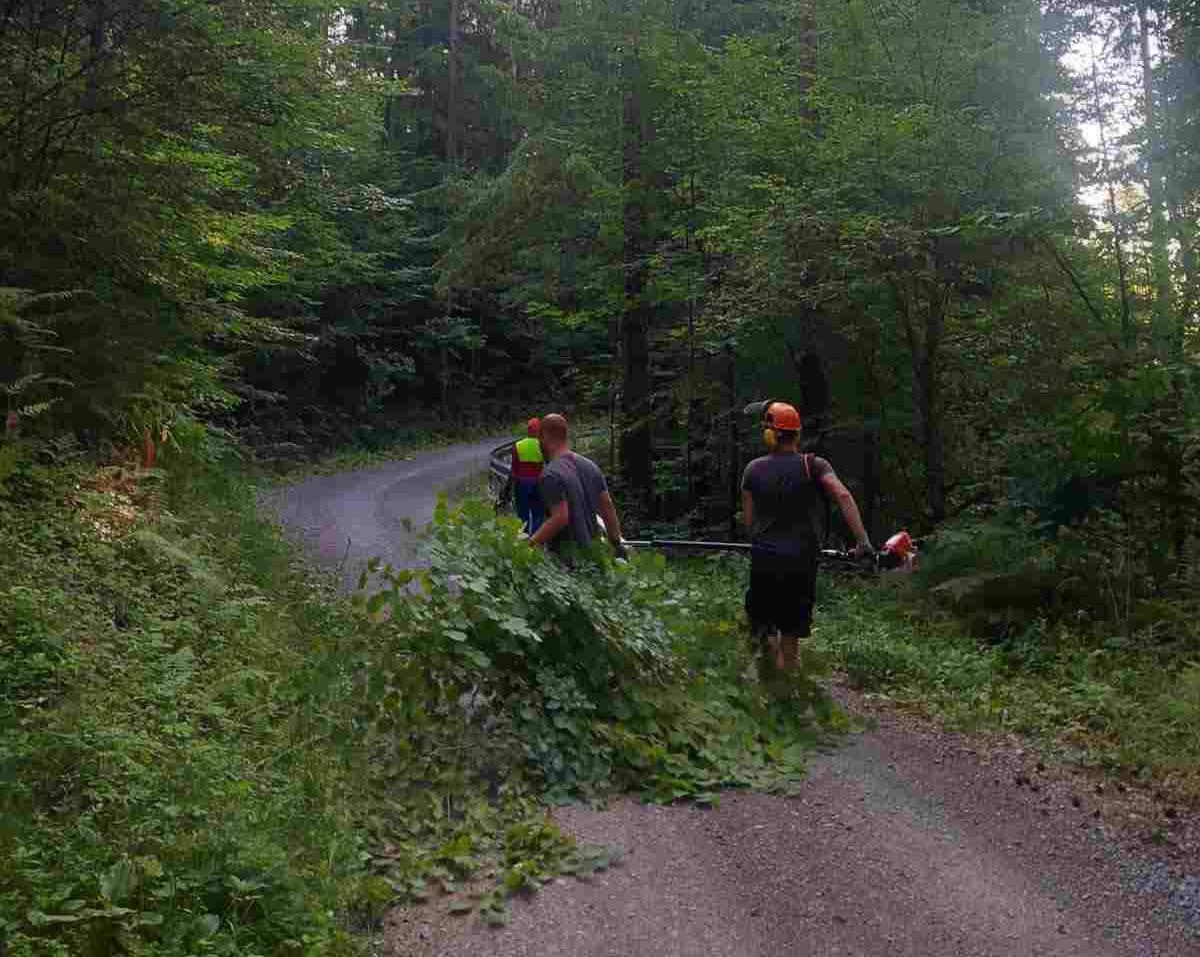 V prihodnjih dneh obrezovanje drevja ob cestah na območju Topolšice