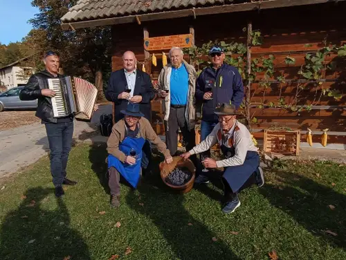 Trgatev v Gaberkah: Obrodila potomka najstarejše trte z Lenta