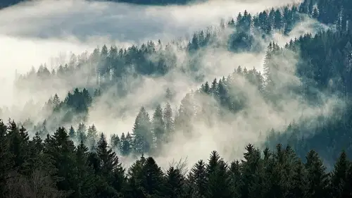 Pred nami vremensko miren teden z hladnimi in meglenimi jutri