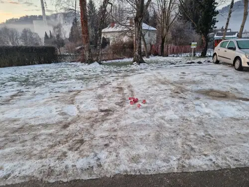 Neodgovorno ravnanje posameznikov kazi podobo Šoštanja