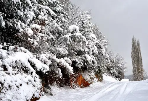 Prebudili se bomo v mrzlo in megleno jutro, a torek prinaša otoplitev